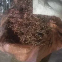 ضایعات اهن مس خشک|عمدهفروشی|شیراز, شهرک دارایی|دیوار