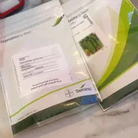 بذرخیار،ونوارتیپ