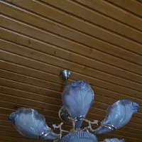 لوستر|لوستر و چراغ آویز|شاهرود, |دیوار