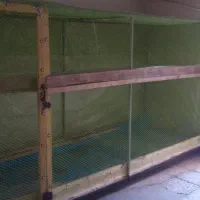 فروش پرورشگاه حیوانات خانگی