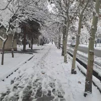 ویلایی مناسب ساخت/۲۵۰متر/میعاد