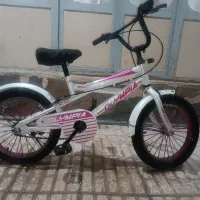 دوچرخه حرفه ای 16