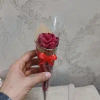 گلشاخهای کاغذی|گل مصنوعی|قم, حکمت شمالی|دیوار