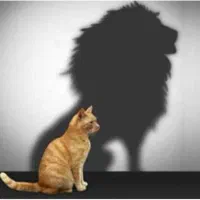 رفع اختلالات نعوظ جلوگیری از شلی و پیری آلت|خدمات آرایشگری و زیبایی|تهران, ایوانک|دیوار