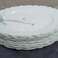 پلوخوری ارکوپال