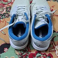 کفش ورزشی والیبال حرفه ای|تجهیزات ورزشی|دابودشت, |دیوار