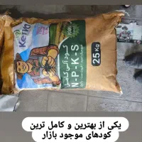 کودهای ارگانیک|گل و گیاه طبیعی|اصفهان, سیچان|دیوار