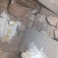 نرو ماده