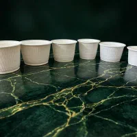 ظروف گیاهی با درب