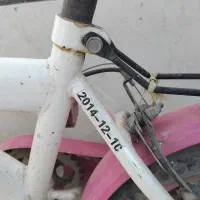 دوچرخه دخترانه|دوچرخه، اسکیت، اسکوتر|نیشابور, مبارکه|دیوار