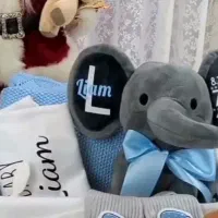 عروسکه ثبت خاطره