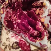 سبزی خورد کن و پتو