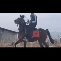 مادیون ۴ ساله مدارک دار