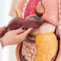 بهبود یبوست همین الان شماره تماس بزار