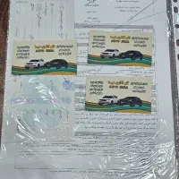 حواله شاهین تحویل شهریور 1404