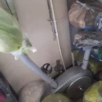 ورزشی