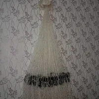 سالی ماهگیری