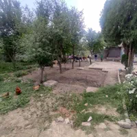 1100 متر باغ/سند تک برگ/نامه جهاد/کنتور قانونی