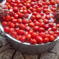 رب گوجه خانگی|خوردنی و آشامیدنی|گنبد کاووس, |دیوار