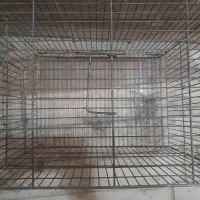 قفس کوچک|لوازم جانبی حیوانات|قم, باجک یک|دیوار