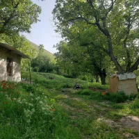 باغ درروستای زوارم