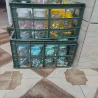 وسایل یکبارمصرف به فروش میرود|ظروف نگهدارنده، پلاستیکی، یکبارمصرف|مرودشت, بیست متری بیمارستان|دیوار