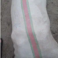 کیسه ها چایی