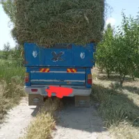 یونجه و علف خریدارم