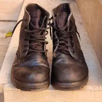 پوتین مستحکم