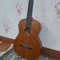 گیتار فرناندو