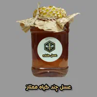 انواع عسل های گون ، آویشن ، کوهی ، کنار و چندگیاه|خوردنی و آشامیدنی|اهواز, فرهنگ شهر|دیوار