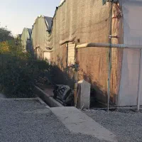 یک قطعه زمین و گلخانه ۱۳۰۰ متری طرح اسپانیایی|فروش دفتر صنعتی، کشاورزی، تجاری|پاکدشت, پاکدشت (مامازند)|دیوار