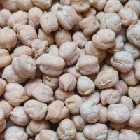 نخود|عمده‌فروشی|سردرود, |دیوار