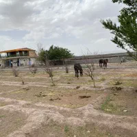 استخدام کارگر