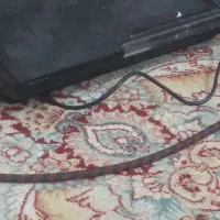 ز مین  فروشی جمهوری  غربی۱۲