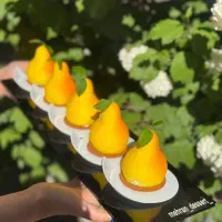 دوره مستردسر