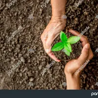 کارهای گلخانه صفر تا صد