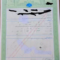 زمین ساختمانی چاهه جم مرجان ۲۶