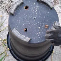 متخصص گل گیاه آپارتمانی زینتی|خدمات باغبانی و درختکاری|قم, نیروگاه|دیوار