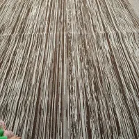 ظریف مصور|موکت|بندر امام خمینی, |دیوار