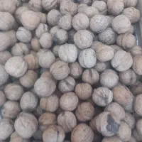 خشکبار امیر ....مراغه