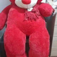 خرس ۲ متری خارجی