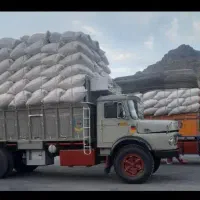 مزرعه کاه سفید بدون کلوخ و خاک،  گندم گندم‌زار