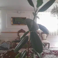 فروش خط دائمی ۹۱۲