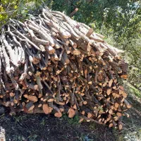 فروش چوب و هیزم درجه یک