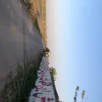 زمین باغی،در مجتمع