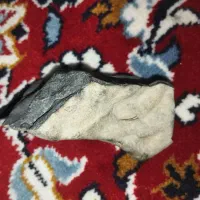 شهاب سنگ|کلکسیون و سرگرمی|تهران, فلسطین (میدان انقلاب)|دیوار