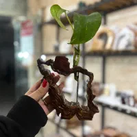 سنگ مصنوعی،شکلاخوری،گلجا،جا کلیدی، گلدان جاسیگاری