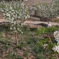 زمین ۱۸۰متری ویلایی گرمابسرد تهران