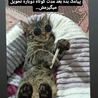 واگذاری گربه